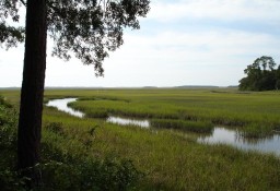 Działka inna Fernandina Beach