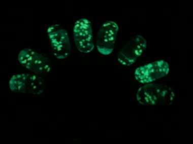 Pandora Charm koralik świeci świecący ciemności fosfotyzujący -1