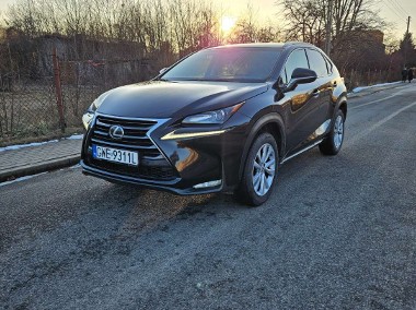 Lexus NX NX 14--1