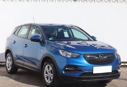 Opel Inny