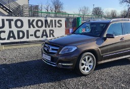 Mercedes-Benz Klasa GLK X204 Bezwypadkowy, krajowy, pierwszy właściciel.