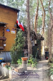 dom całoroczny w lesie-2