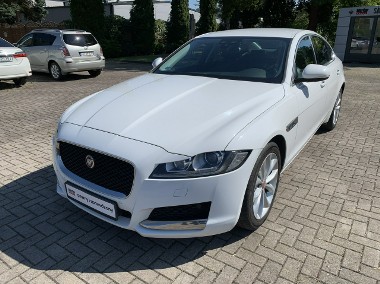 Jaguar XF X260 Jaguar XF 2.0d 241 KM-1