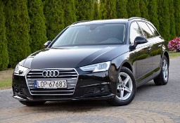 Audi A4 8W 30 TDI 2.0 S-Tronic Kamera ACC Navi Radar Presense El.Klapa SerwisASO