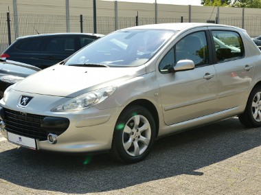 Peugeot 307 II Super stan LPG Klima-1