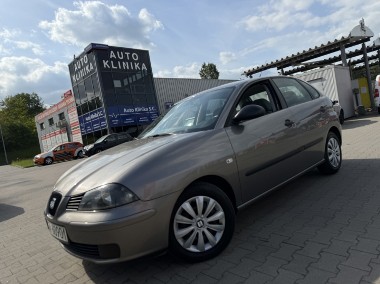 SEAT Ibiza IV-1