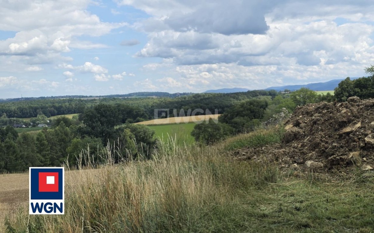 Działka na sprzedaż, 2000 m², Hażlach Zamarski - Widok 2