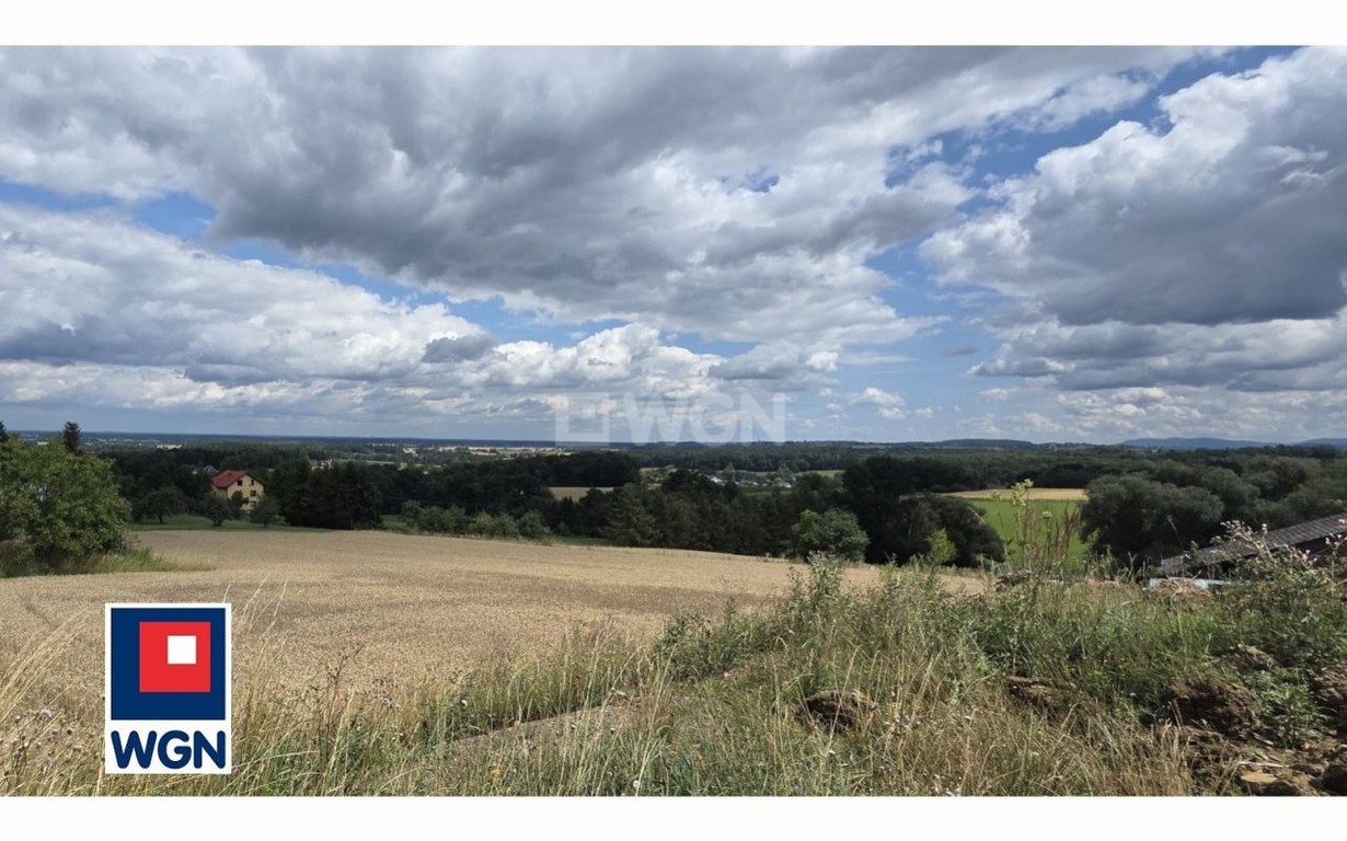 Działka na sprzedaż, 2000 m², Hażlach Zamarski - Widok 4