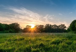 Działka rolna Tarnowskie Góry Pniowiec