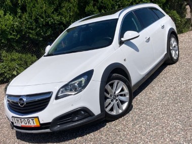 Opel Insignia I Country Tourer-1