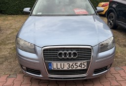 Audi A3 II (8P) Audi A3 1.9 Diesel 140 KM / rok 2007