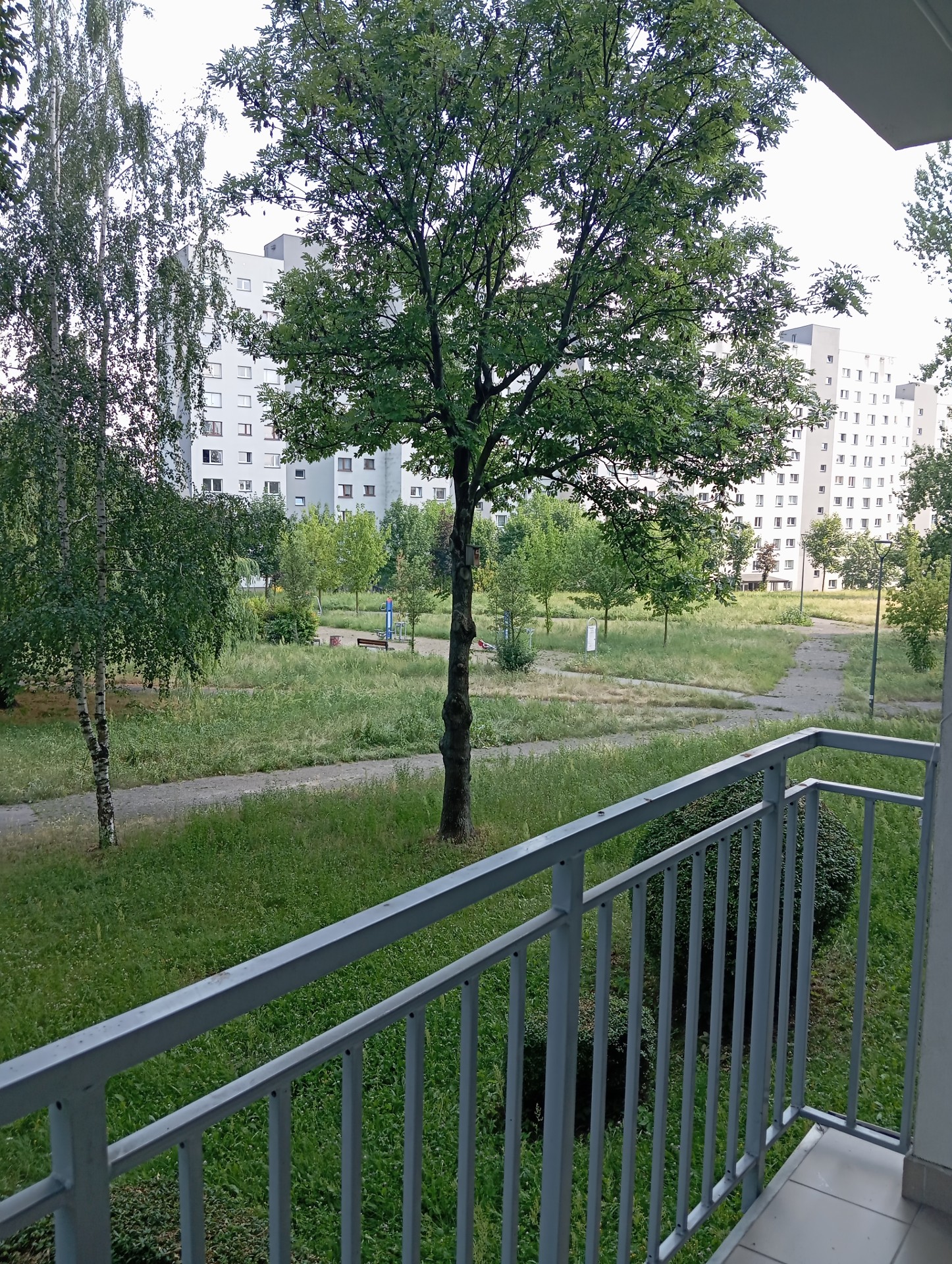 Bezpośrednio | 51 m² | 2 pokoje | 1 piętro | duża kuchnia | balkon |Sosnowiec Środula - Widok 3