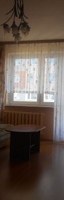 Katowice, Koszutka, Modrzewiowa, ok. Spodka, uczelni, 3 osobne pokoje z balkonem-4