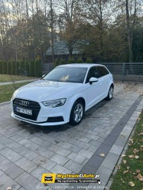 Telefon: 510_161_359 Lokalizacja: Stare Bosewo