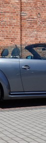 Volkswagen Beetle III 1.4 TSi 150KM DSG ALLSTAR Automat Navi Kamera Bi-Xenon 2x LED-3