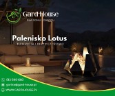  Palenisko Lotus- elegancka nowość w Gard House!