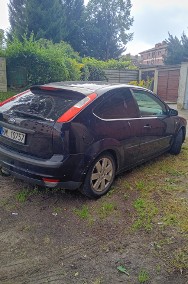 Ładny Focus-2