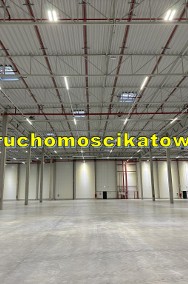 Magazyn do wynajęcia 10.290 m2 Katowice śląskie rampy bramy biura socjal.-2