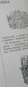 Leśna Gazeta - W.Bianki / 1953 / przyroda / las / edukacja/zwierzęta-4