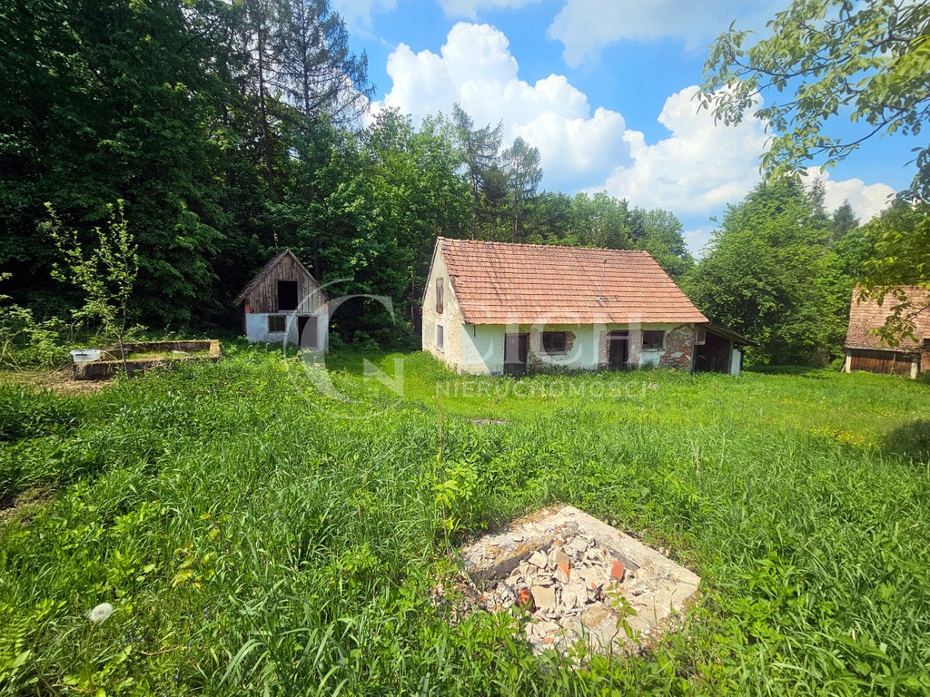 Działka budowlano-leśna 0,8445 ha | Łękawka gm. Tarnów - Widok 5