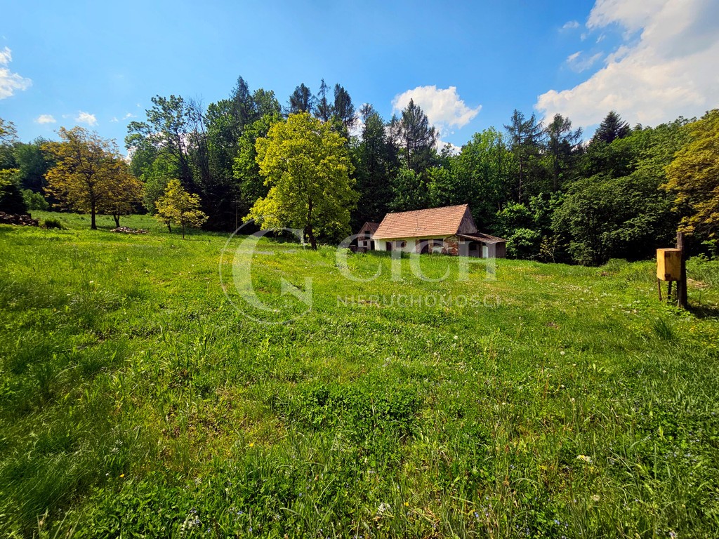 Działka budowlano-leśna 0,8445 ha | Łękawka gm. Tarnów - Widok 6