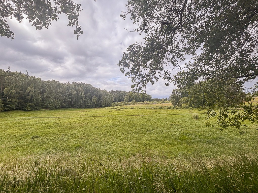 Piaseczno 100 m od jeziora działka leśna 3 ha - Widok 3