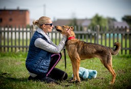 KROMKA super piesek czeka na swojego człowieka! 