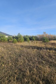 <p>MPZP zabudowa jednorodzinna</p>-2