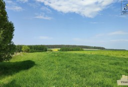 Działka rolna Gołębiewo Wielkie