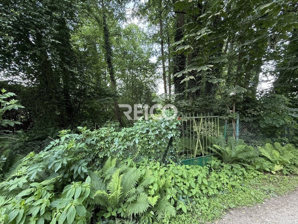 Pierwsza linia zabudowy nad Narwią - Vista 4