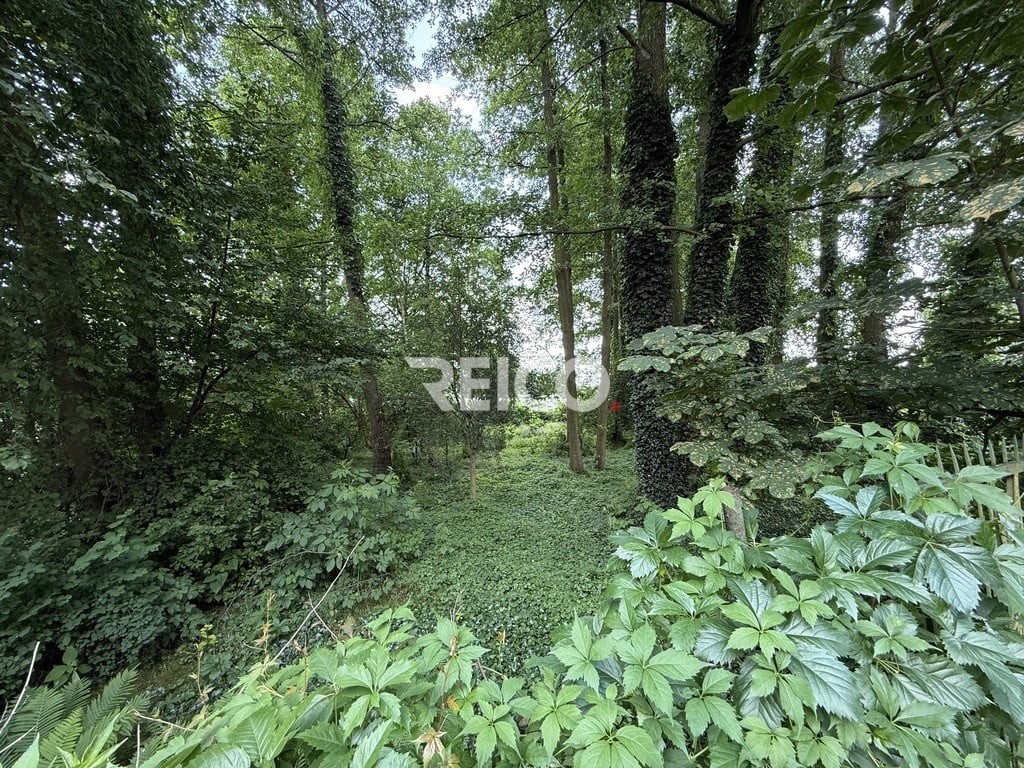 Pierwsza linia zabudowy nad Narwią - Vista 5