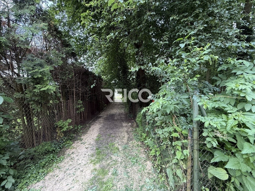 Pierwsza linia zabudowy nad Narwią - Vista 6