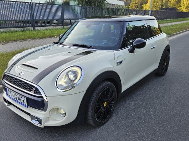 1 właściciel w Polsce-1