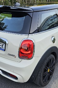 1 właściciel w Polsce-2