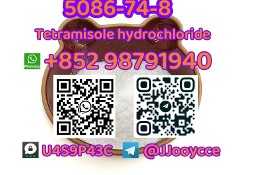 CAS 5086-74-8 Tetramisole hydrochloride fast shipping with high quality