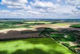 Działka przemysłowa Ożarów Mazowiecki