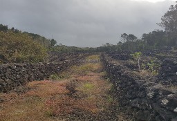 Działka inna Ilha Do Pico, Candelária