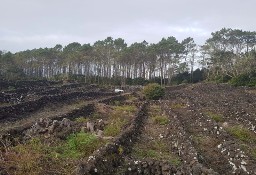 Działka inna Ilha Do Pico, Candelária