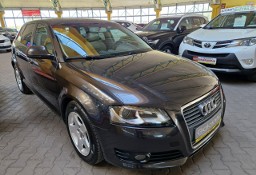 Audi A3 II (8P) Zobacz opis !!W podanej cenie Roczna Gwarancja !!