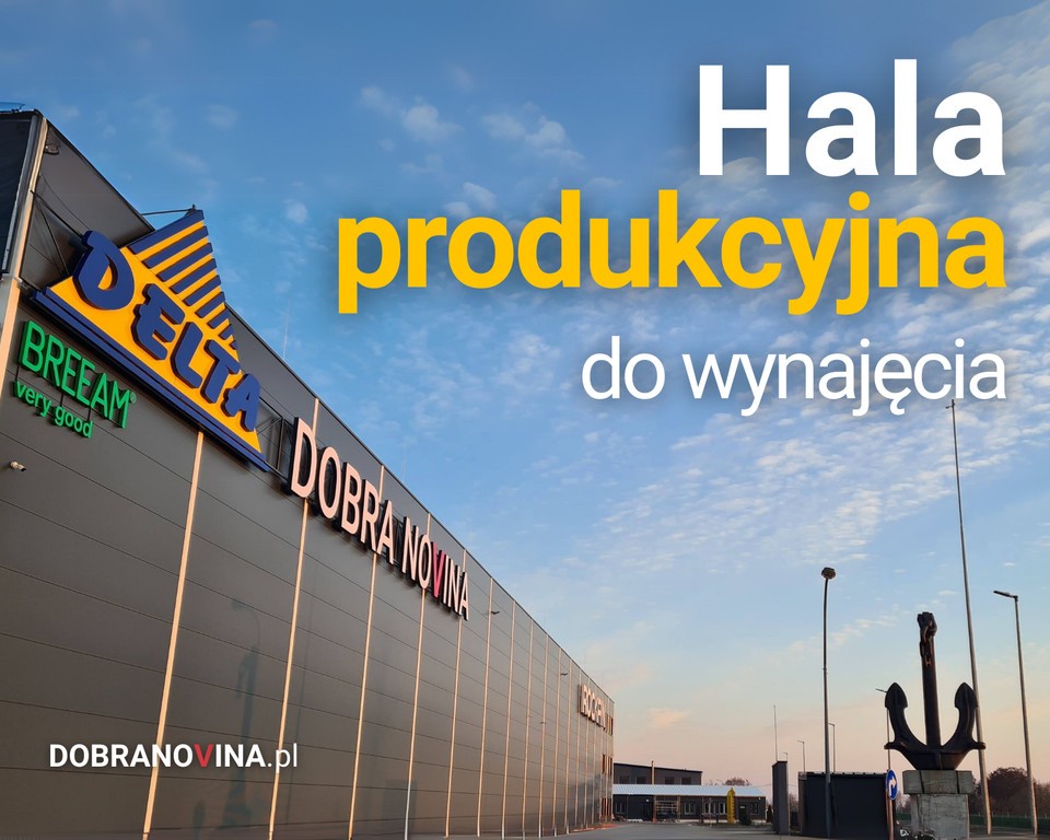 hala, magazyn na wynajem