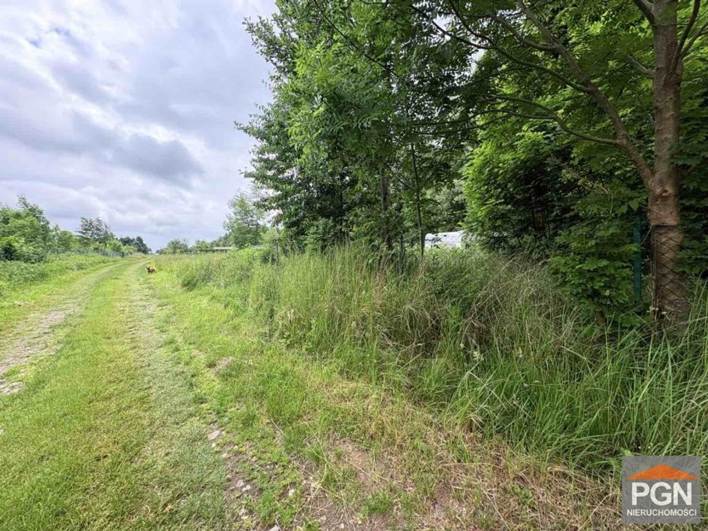 Działka rekreacyjna 934 m² – Niechorze | Liwia Łuż - Widok 4