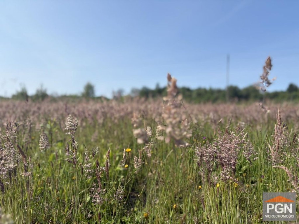 Działka rekreacyjna 934 m² – Niechorze | Liwia Łuż - Widok 6