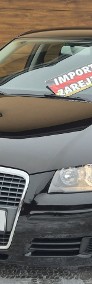 Audi A3 II (8P) 2008, 1.6B 102KM, Bardzo Zadbany, Z Niemiec-Zarejestrowany-3