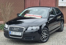 Audi A3 II (8P) 2008, 1.6B 102KM, Bardzo Zadbany, Z Niemiec-Zarejestrowany