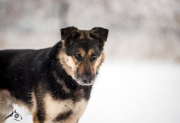 LEO: chodź się poznamy, łapki sobie podamy