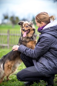 Oto cudny kawaler, który poszukuje domku - adoptujesz MacGyvera?-2