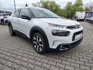 Citroen C4 Cactus I 1.2 110KM SHINE | Automat | Kamera cofania | Tempomat | Salon PL