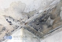 Sprzątanie po zalaniu fekaliami Piła Kastelnik dezynfekcja wybiciu kanalizacji
