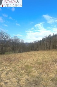 Piękna działka pod lasem w Leszczyńcu-2