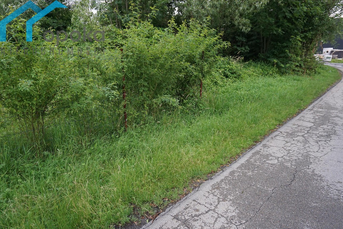 Duża działka budowlana w Goleszowie - Widok 3